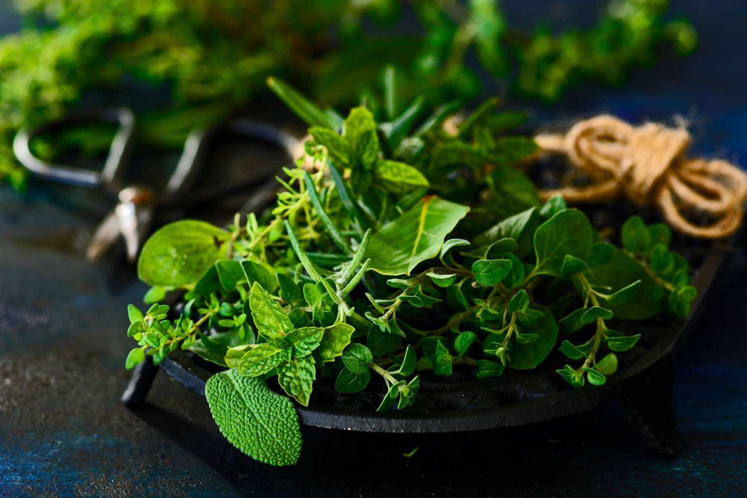 Fresh herbs
